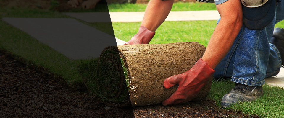 Cadott Landscapers
